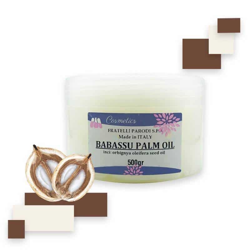 έλαιο-μπαμπασού-babassu-palm-oil