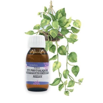 Κισσός εκχύλισμα Υδατοδιαλυτό